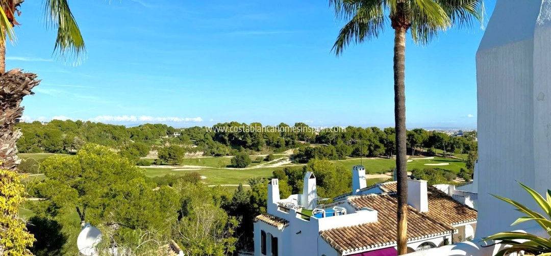 Detached Villa - Revente - Villamartin - Villamartin