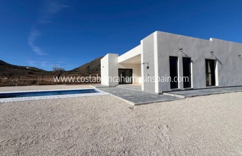 Detached Villa - Új építésű -  - 