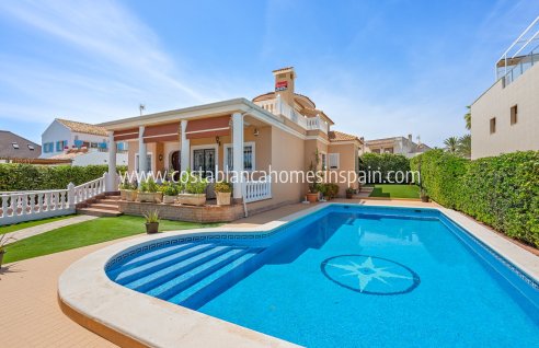 Detached Villa - Venta - Torrevieja - CBB-45163