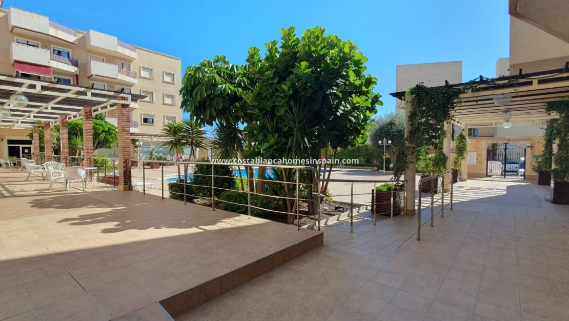 Endursölu - Apartment - Cabo Roig - Orihuela Costa