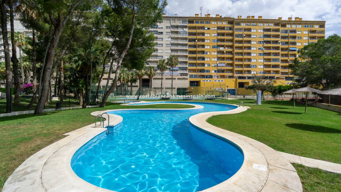 Endursölu - Apartment - Campoamor