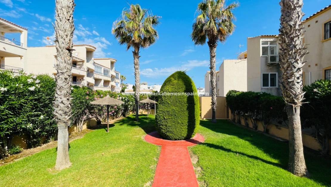 Endursölu - Apartment - Orihuela Costa - La Florida