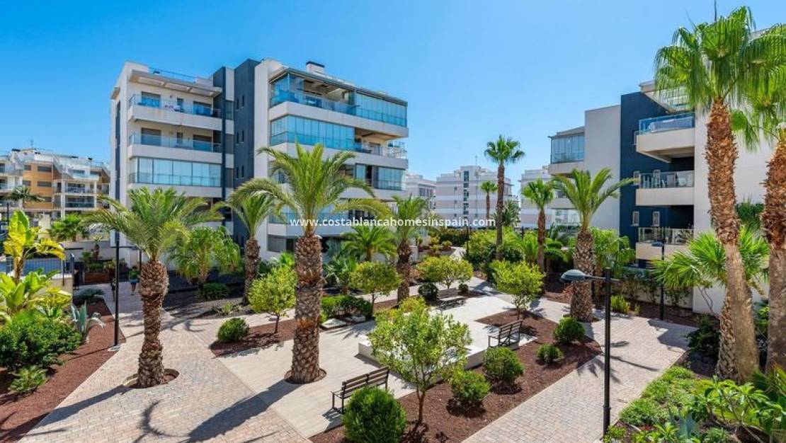 Endursölu - Apartment - Orihuela Costa - Los Dolses