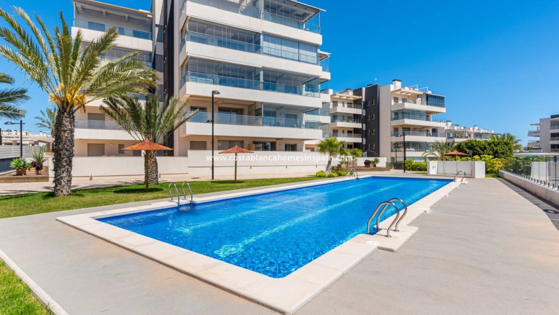 Endursölu - Apartment - Orihuela Costa - Los Dolses