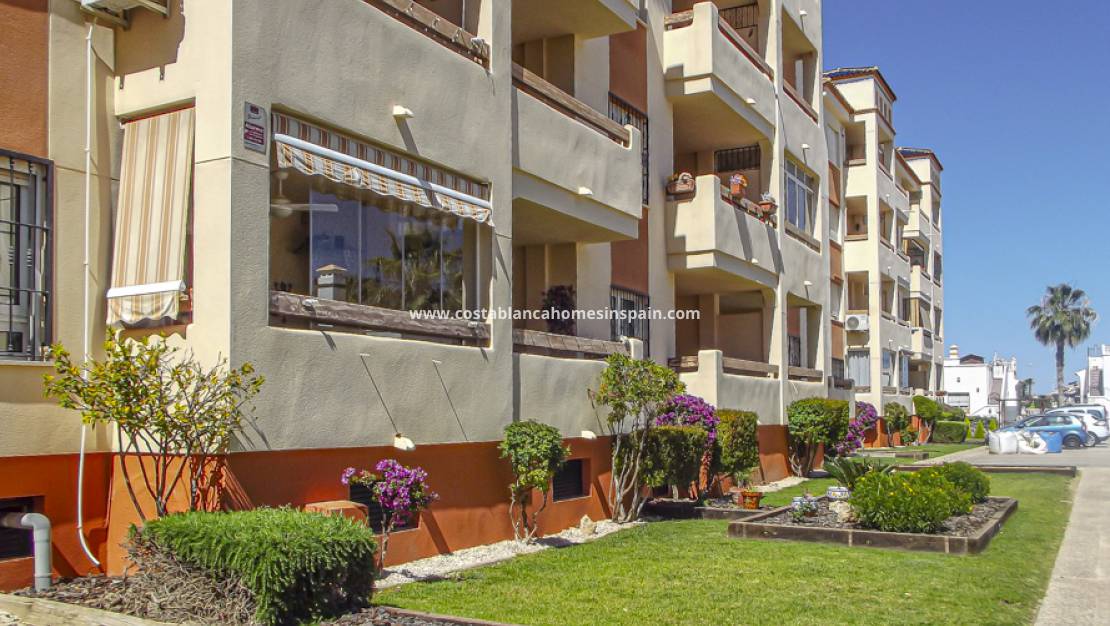 Endursölu - Apartment - Orihuela - Playa Flamenca