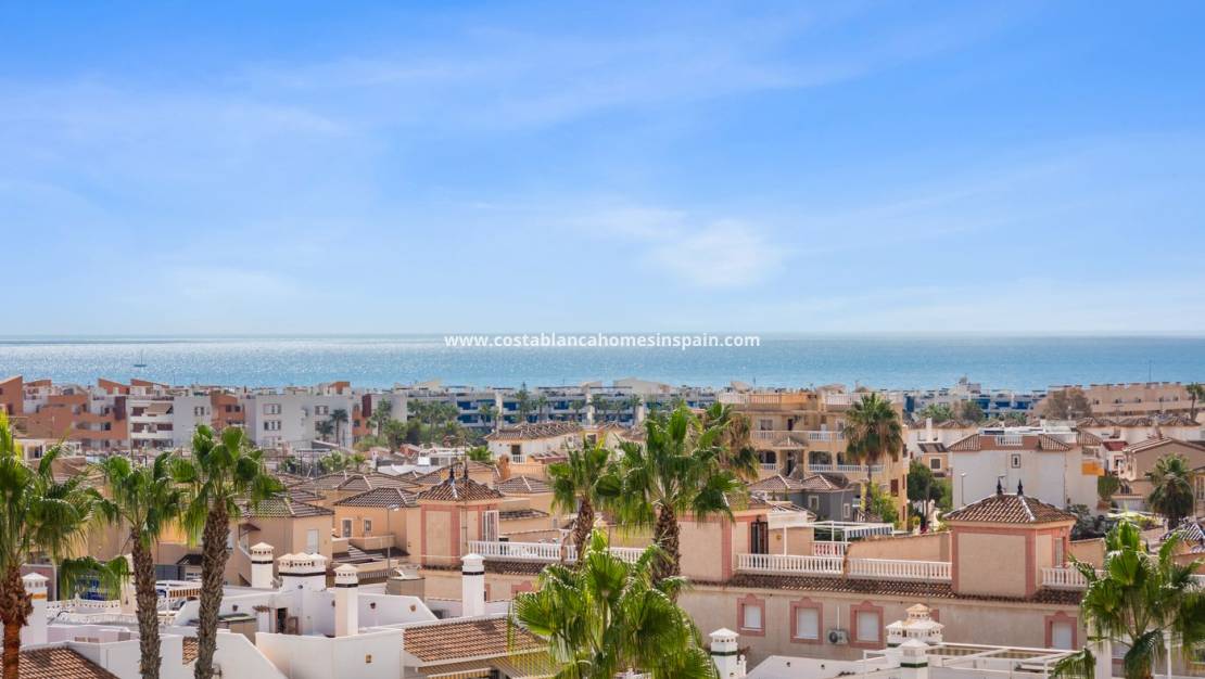 Endursölu - Apartment - Orihuela - Playa Flamenca