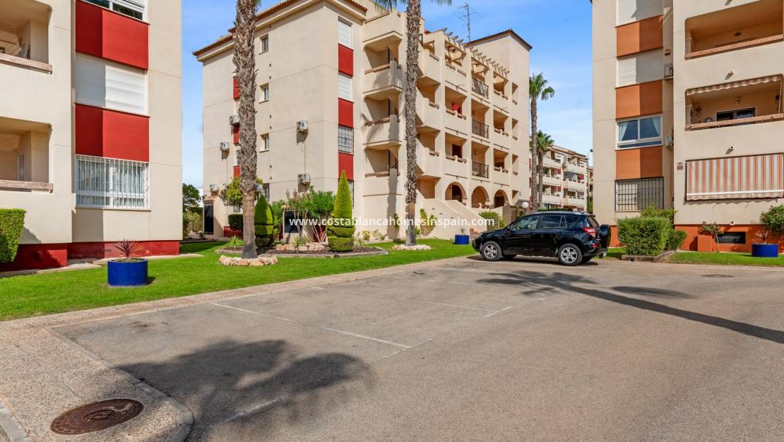 Endursölu - Apartment - Orihuela - Playa Flamenca