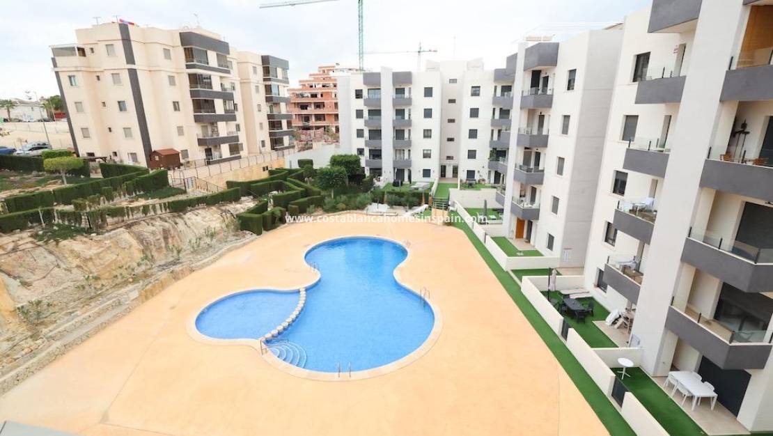 Endursölu - Apartment - San Miguel de Salinas - Pueblo 9