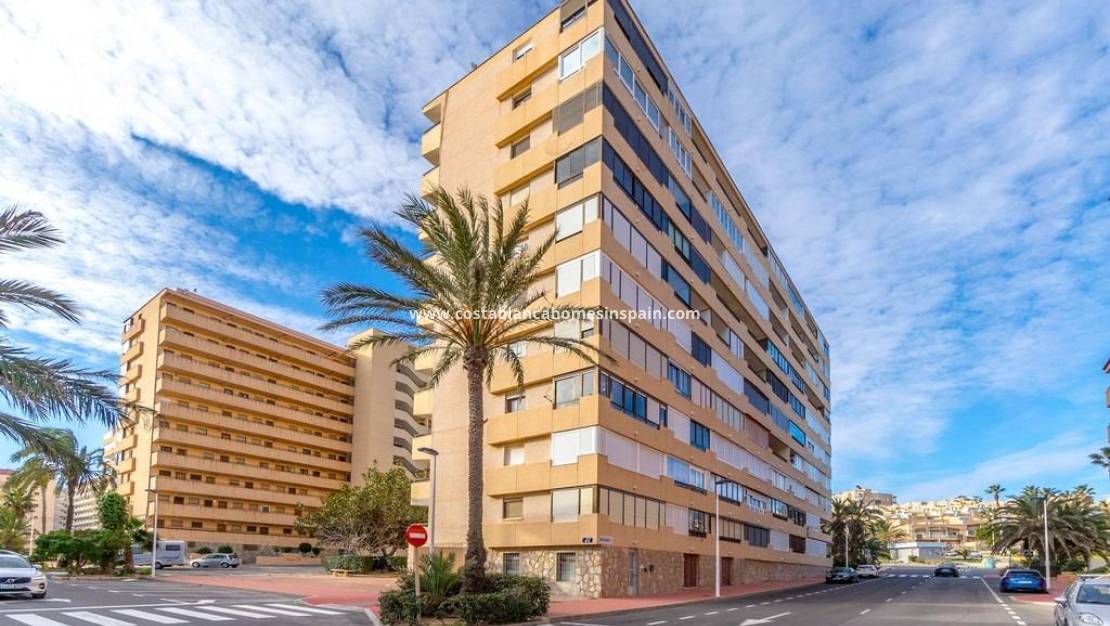 Endursölu - Apartment - Torrevieja - Cabo cervera