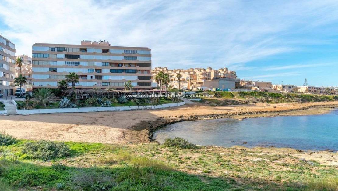 Endursölu - Apartment - Torrevieja - Cabo cervera