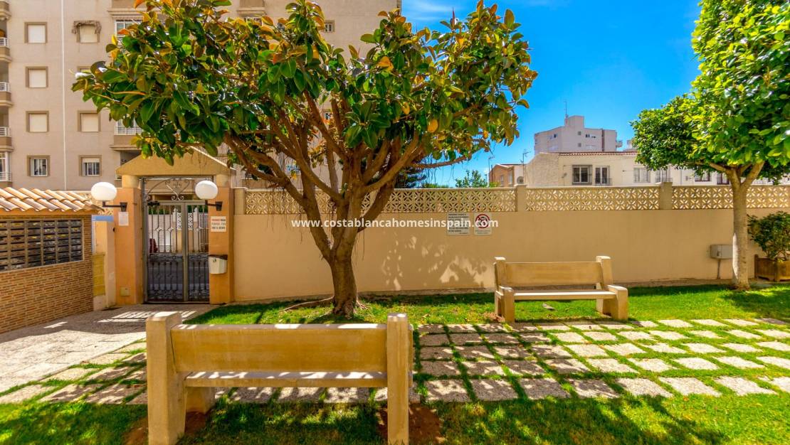 Endursölu - Apartment - Torrevieja - Centro