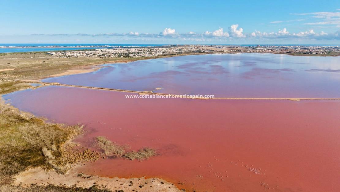 Endursölu - Apartment - Torrevieja - Centro