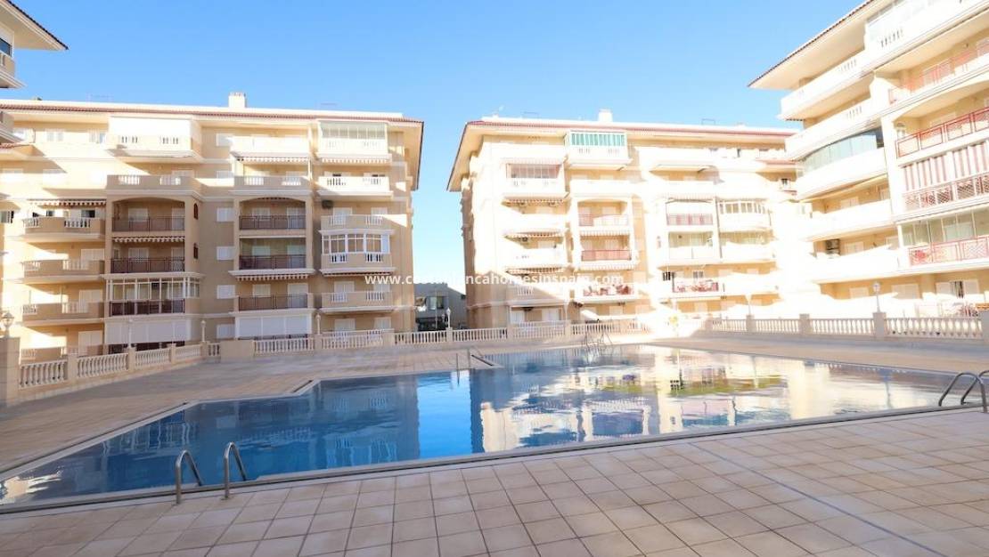 Endursölu - Apartment - Torrevieja - La Mata