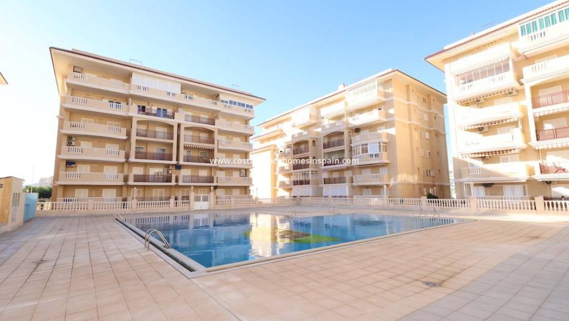 Endursölu - Apartment - Torrevieja - La Mata