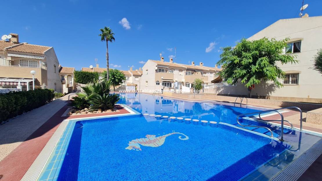 Endursölu - Apartment - Torrevieja - Nueva Torrevieja - Aguas Nuevas