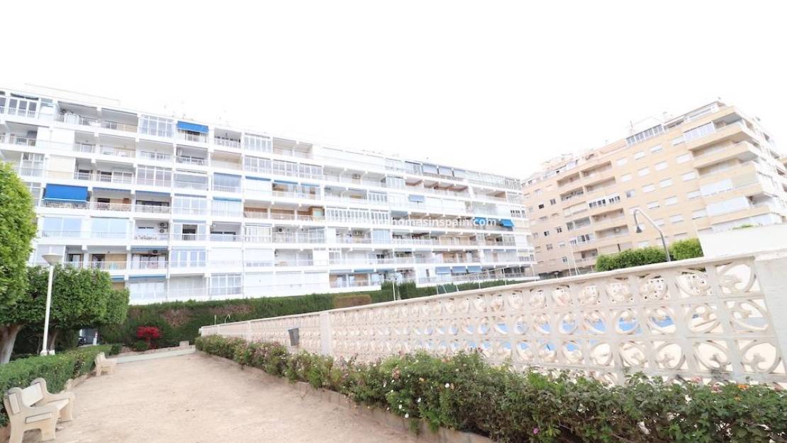 Endursölu - Apartment - Torrevieja