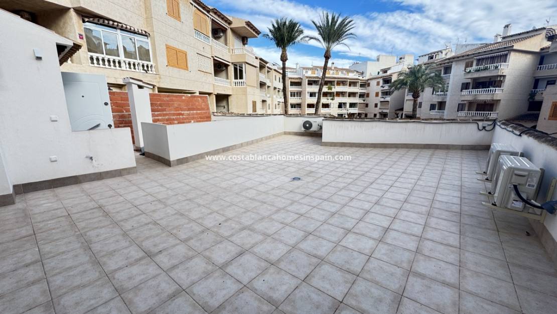 Endursölu - Apartment - Torrevieja