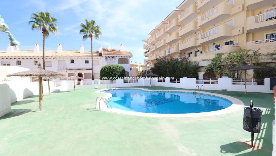 Endursölu - Bungalow - Orihuela Costa - Campoamor