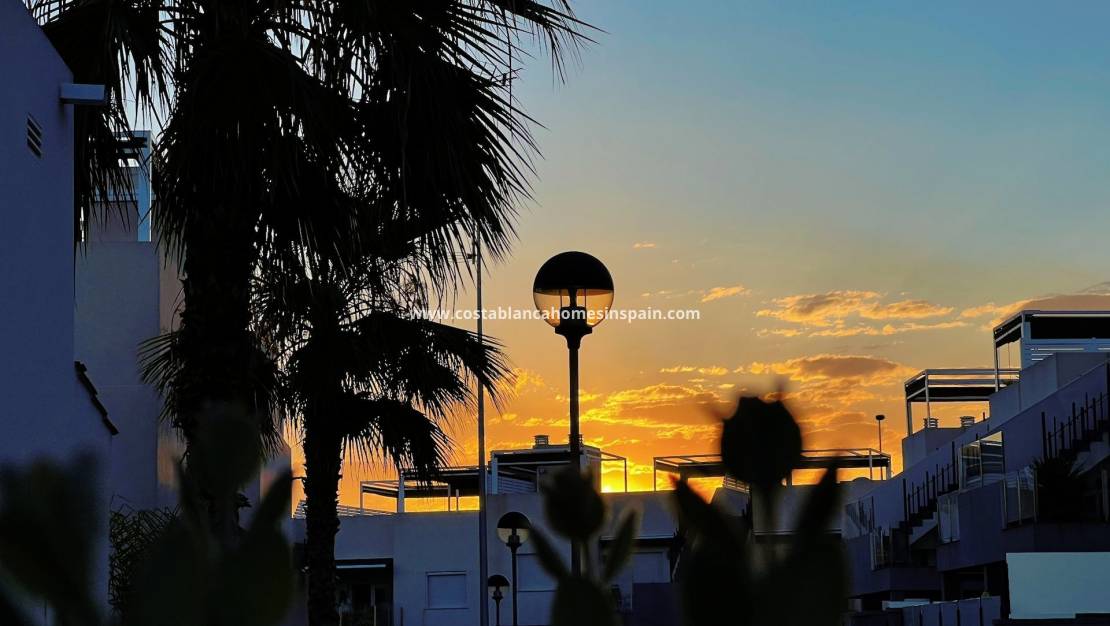 Endursölu - Bungalow - Torrevieja - Aguas Nuevas