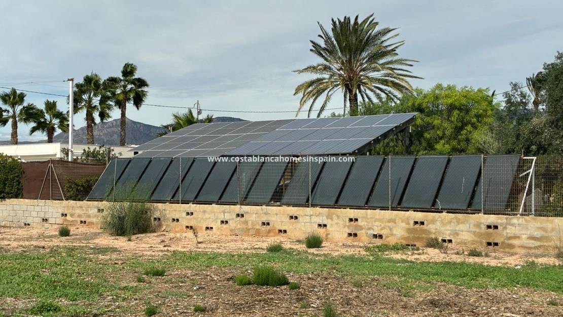 Endursölu - Detached Villa - Crevillente