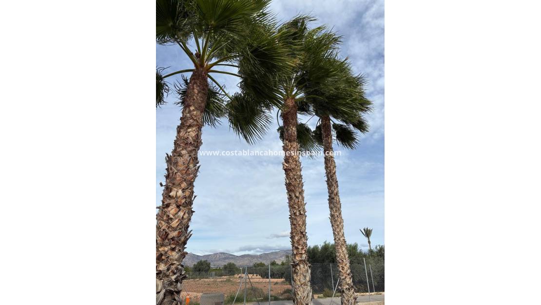 Endursölu - Detached Villa - Crevillente