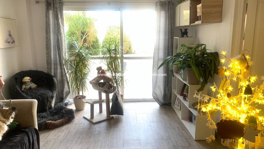 Endursölu - Detached Villa - Orihuela Costa - La Zenia