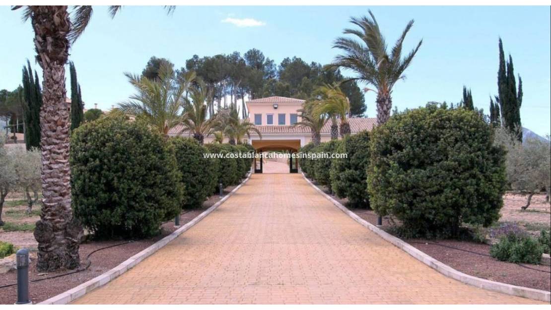 Endursölu -  - Penàguila