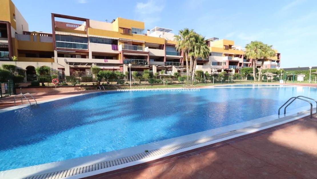 Endursölu - Penthouse - Orihuela Costa - Playa Flamenca Norte