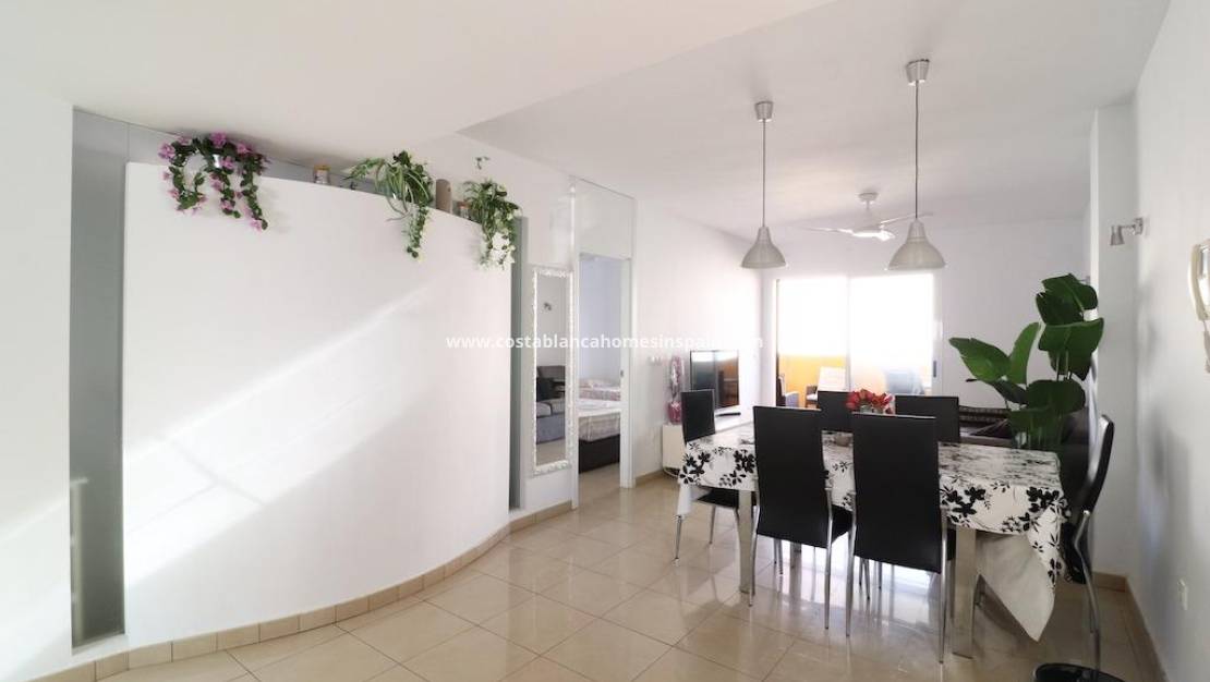 Endursölu - Penthouse - Orihuela Costa - Playa Flamenca Norte