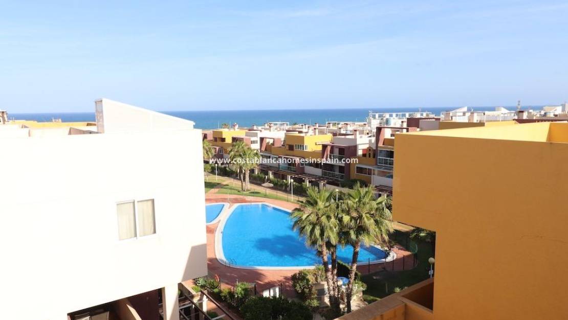 Endursölu - Penthouse - Orihuela Costa - Playa Flamenca Norte