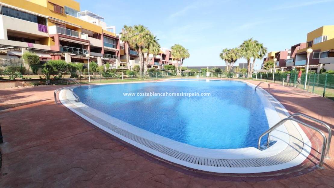 Endursölu - Penthouse - Orihuela Costa - Playa Flamenca Norte