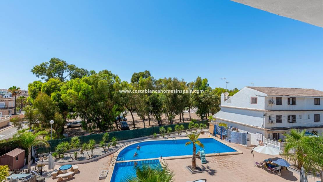 Endursölu - Semi-detached house - Orihuela Costa - Punta Prima