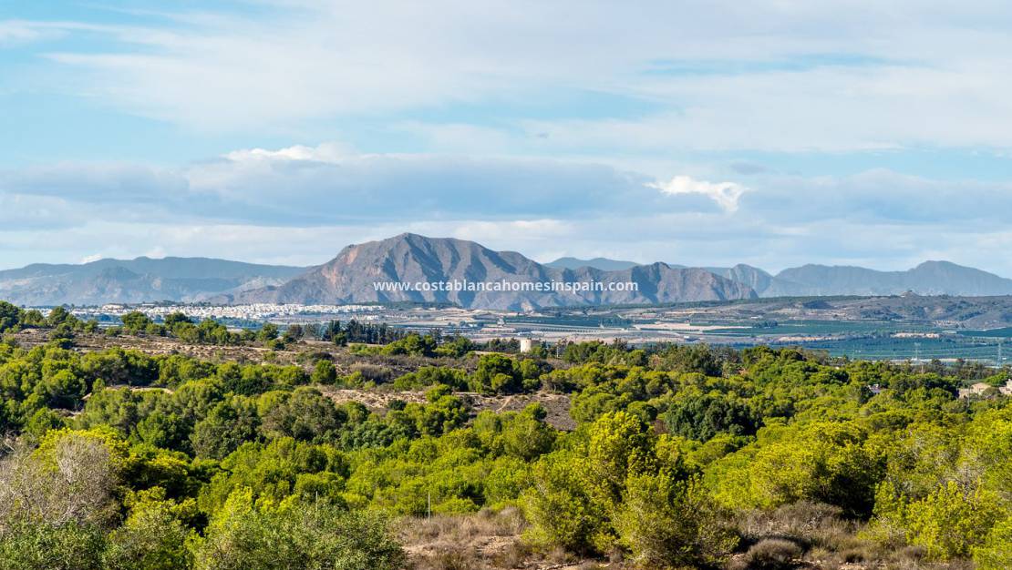 Endursölu - Semi Detached - Orihuela Costa - Los Altos