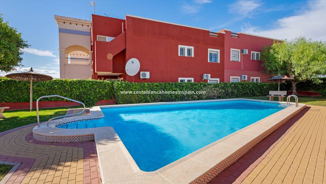 Endursölu - Semi Detached - Orihuela Costa - Los Altos