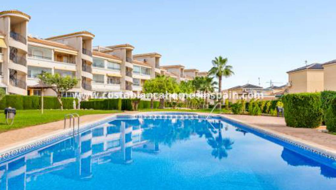 Endursölu - Semi Detached - Orihuela Costa - Los Altos