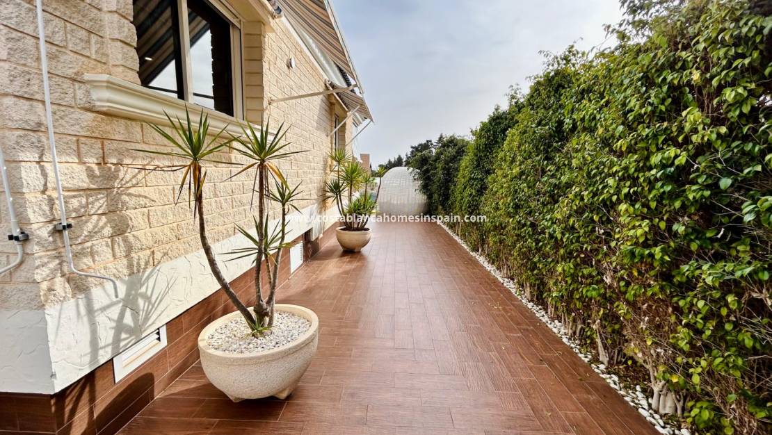 Endursölu - Semi - Detached Villa - Torrevieja - La Mata