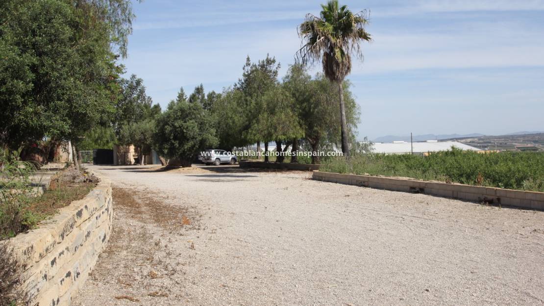 Endursölu -  - Sucina