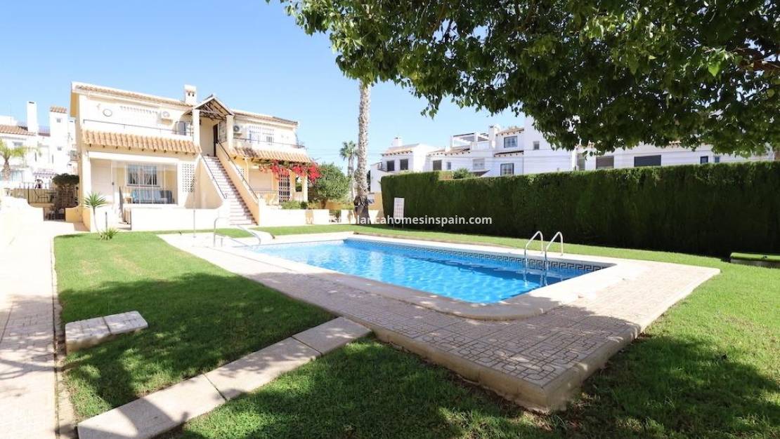 Endursölu - Terraced house - San Miguel de Salinas - Villamartin