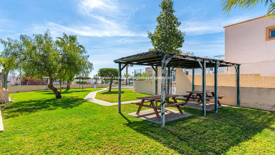 Endursölu - Townhouse - Orihuela - Pau 26