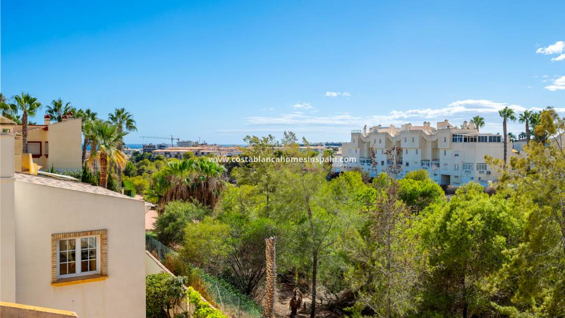 Endursölu - Villa - Orihuela - Playa Flamenca