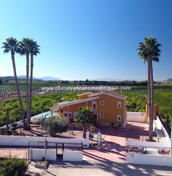 Finca - Endursölu - Orihuela - Orihuela