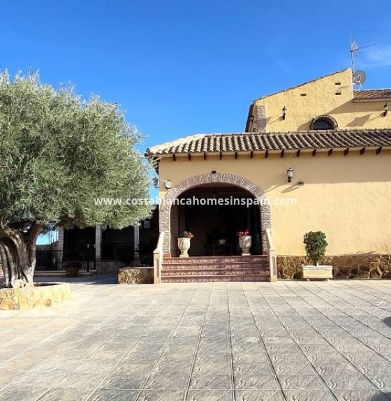 Finca - Használt - Orihuela - Orihuela