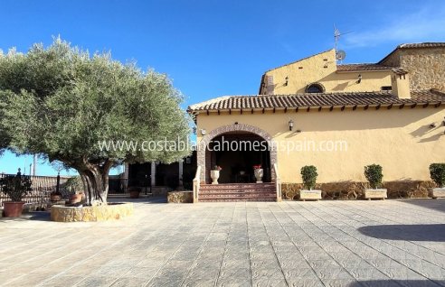 Finca - Re-salg - Orihuela - ES-20559