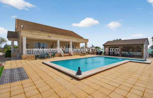 Finca - Sale - Albatera - Albatera