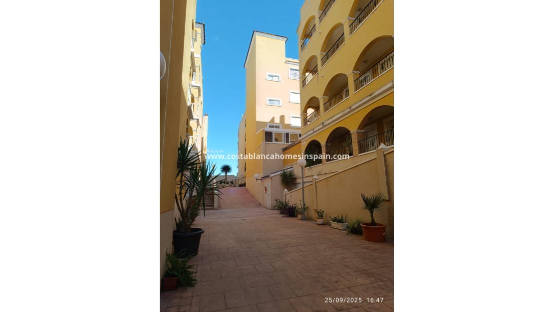 Használt - Apartment - Algorfa - Pueblo