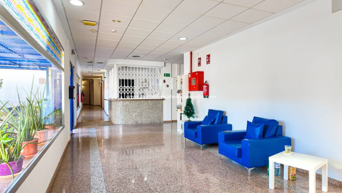 Használt - Apartment - Cabo Roig - Costa Blanca