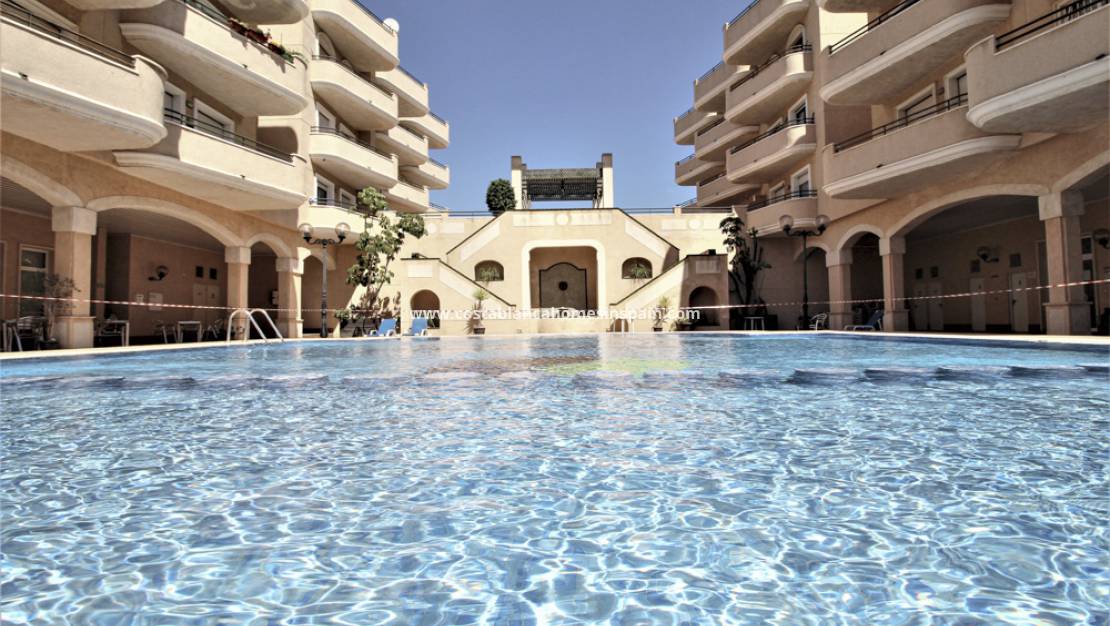 Használt - Apartment - Cabo Roig