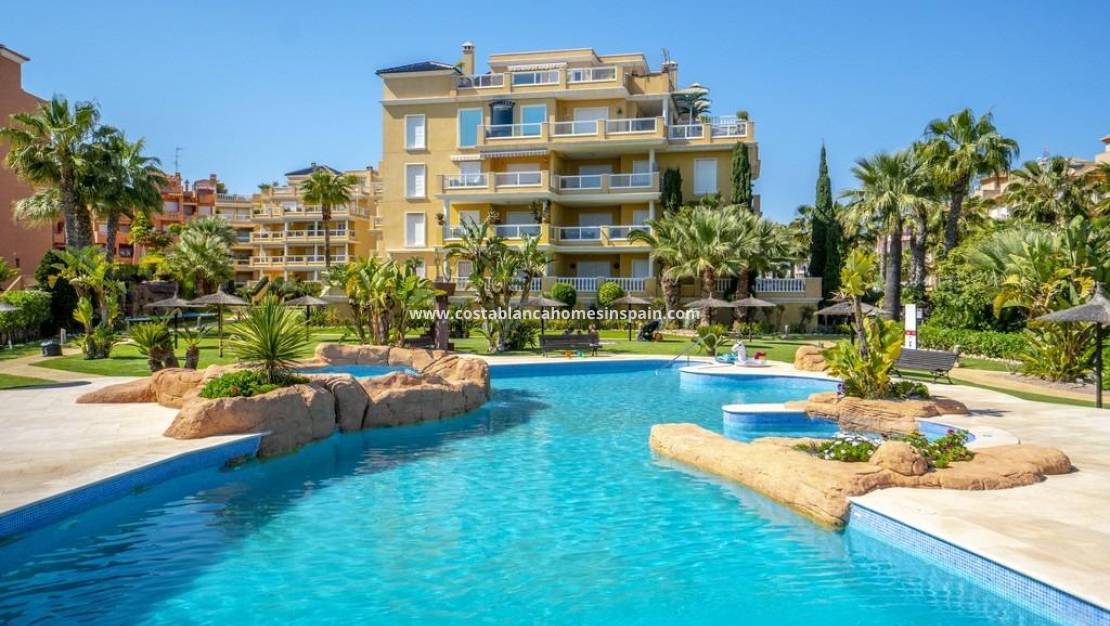 Használt - Apartment - Cabo Roig
