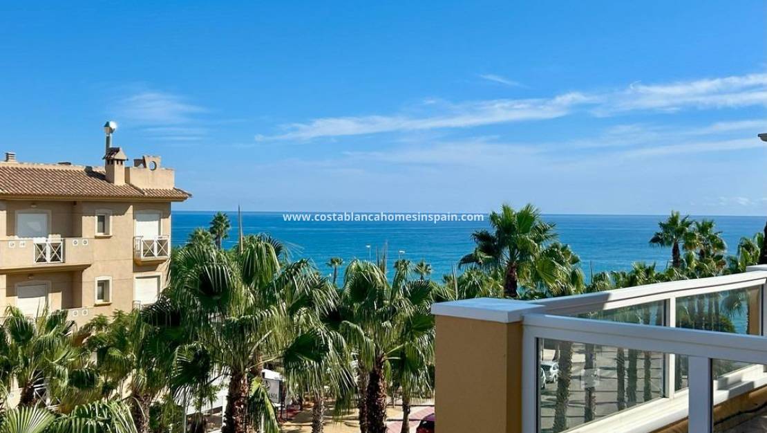 Használt - Apartment - Cabo Roig