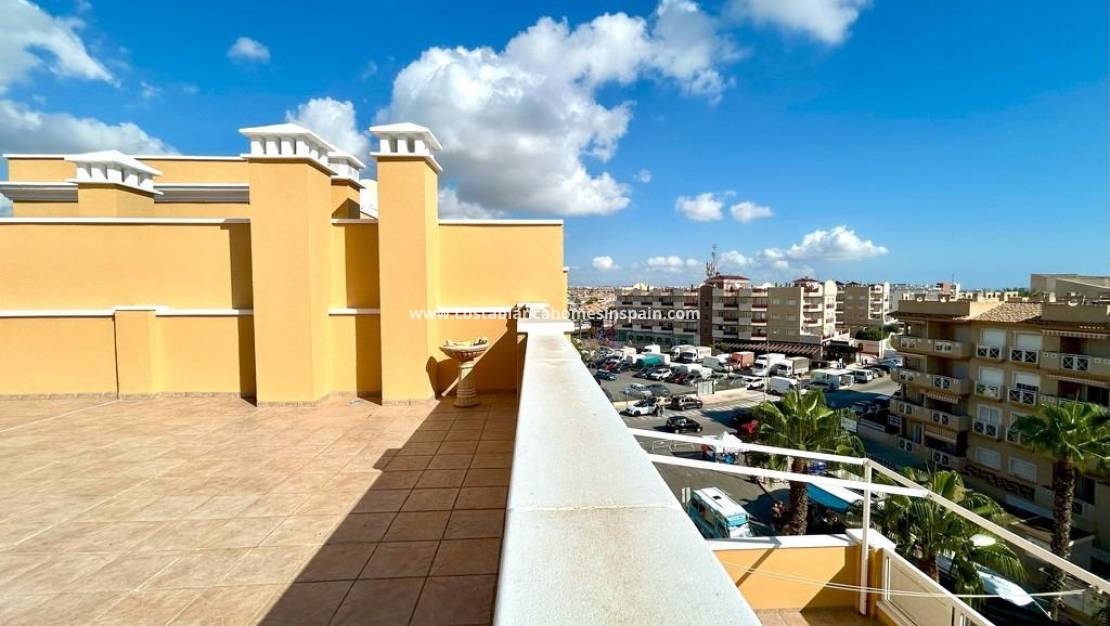 Használt - Apartment - Cabo Roig